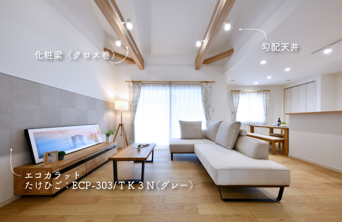 勾配天井、リビング、エコカラット
